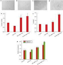 Ellis avec kim basinger, chris evans. Characterization Of Cellular Growth A D Optical Observation Of Cells Download Scientific Diagram