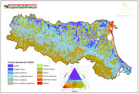Image result for Emilia limosa