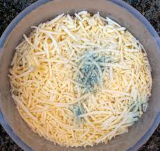 Each cheese has their own uniqueness and characteristic. Preventing Mold On Cheese Thriftyfun