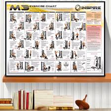 Bodybuilding Exercise Chart Canvas Art Print Painting Poster Home No Frame
