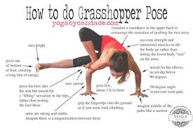 How To Do Grasshopper Pose Grasshopper Pose Yoga Poses Yoga Asanas
