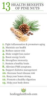 Maybe you would like to learn more about one of these? 13 Wonderful Health Benefits Of Pine Nuts Healing Plant Foods