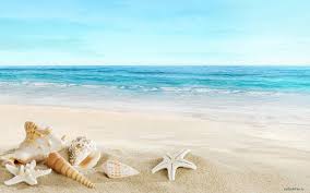 Image result for beach
