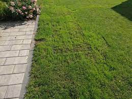 How to hide manhole covers and drains pro landscaper. Ecogrid Ltd On Twitter Can You Spot The Manhole Cover Noaprilfools Ecogrid Grasstop Recessed Manhole Covers Are The Ideal Garden Solution For Replacing Obtrusive Drains In Lawns Grass And Landscaped Areas Find