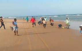 De frente para o mar, o luxuoso espaço conta com mais de um milhão de metros quadrados e é maior do que o hotel ao lado. Praia Onde Neymar Passara Reveillon Na Bahia E Atingida Por Oleo Informa1