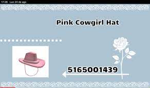Pin By Koyaa On Sherwin Williams Paint Colors Pink Cowgirl Pink Cowboy Cowgirl Hats