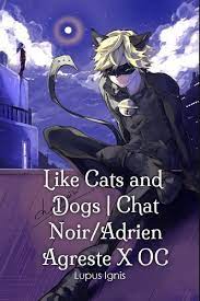 Like Cats And Dogs Chat Noir Adrien Agreste X Oc
