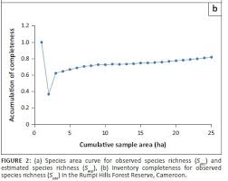 Image result for Pauridiantha viridiflora