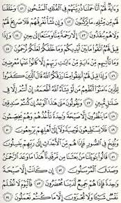 Bacaan surat yasin dan ayat kursi dengan bahasa arab latin indonesia dan terjemahannya. 45 Quran Ideas In 2021 Quran Quran Verses Quran Surah