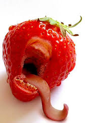 Elles laissent penser que les prix ne sont pas aussi bien encadrés en france. Fraises D Espagne On Arrete Le Massacre Oui Le Magazine De La Ruche Qui Dit Oui