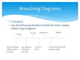 Classification Think Of Something In Your House That You