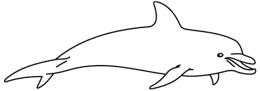 Photo à propos rire de dauphin de foule. Coloriage A Imprimer Un Dauphin Turbulus Jeux Pour Enfants