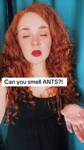 Why Do Ants Smell Like Nail Polish
