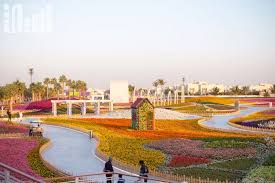 شاهد مهرجان الزهور بينبع يشهد إقبالا كبيرا في دورته 12