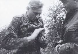  Pin On German Troops