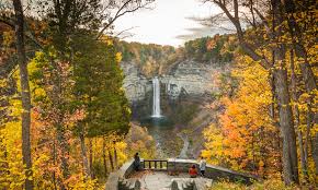 To see the latest deals on finger lakes region cabins rentals, enter your travel details and hit search. Finger Lakes Vacation Rentals Homes New York United States Airbnb