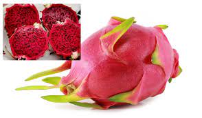 Apakah buah naga merah mengandung glukosa? Makan Buah Naga Bila Buang Air Nampak Macam Warna Merah Bahaya Ke Ni Jawapannya Keluarga