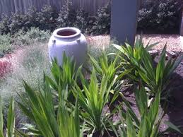 Wicking beds are one of the gardening innovations which have become mainstream. Australian Native Garden Ideas Photos