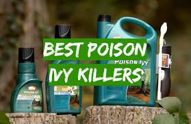 We did not find results for: Top 5 Best Poison Ivy Killers 2021 Review Grass Killer