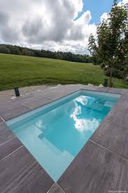 Moderner Pool In Idyllischer Landschaft Tauchbecken Design Gartenhaus Mini Pool