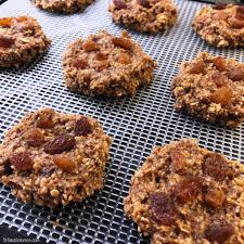 Oatmeal Raisin Dehydrator Cookies Food Healthier Desserts Clean Eating Dehydrator Recipes