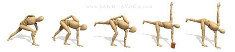 The Daily Bandha Anatomic Sequencing Revolved Half Moon Pose Yoga Anatomy Anatomy Images Half Moon