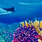 Tides & Textures Opening event image