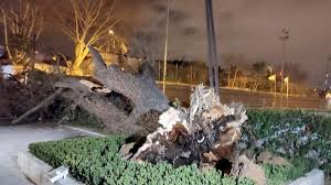 Survivor 2021 9 şubat 2021 ünlüler gönüllüler exxen.com sms sıralaması açıklandı! Survivor Da Kim Elendi Sms Siralamasi Belli Oldu Iste 9 Subat 2021 Survivor Eleme Gecesinde Yasananlar