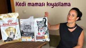Sitede Kedi Mamasi Gerginligi Youtube