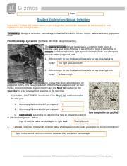 Activity a 0:10 activity b 2:27 activity. Copy Of Template Of Naturalselection Name Date Student Exploration Natural Selection Directions Follow The Instructions To Go Through The Course Hero