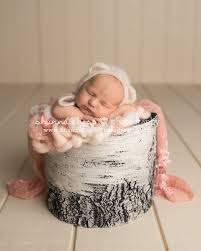 Baby Girl Newborn Photo Session Newborn Photography Girl Baby Girl Newborn Photos Newborn Photographer