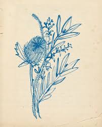 Blue Banksia Art Print Illustration Wall Art Art Art Prints