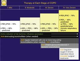 Image result for COPD Staging