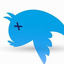 Volg hier live hoe het onderzoek verder. Raf Konings Raphque Twitter