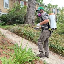 Pest Inspection