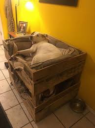 Learn how to crate training an older dog. Large Dog Bed For 2 Bunk Bed Dog Crate Furniture Dog Bed Large Pallet Dog Beds