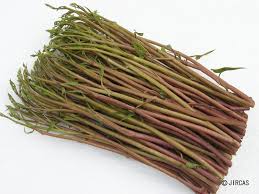 Image result for Ipomoea aquatica