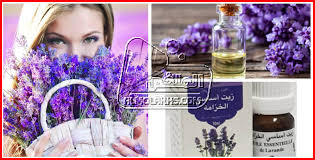 فوائد زيت اللافندر للشعر الخزامي وأهم التجارب لاستخدامه في تطويل ونعومة وتكثيف الشعر