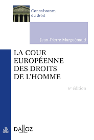 Élu pour un mandat de trois ans, il prendra ses fonctions au 1er janvier 2020. Amazon Fr La Cour Europeenne Des Droits De L Homme 6e Ed Connaissance Du Droit Marguenaud Jean Pierre Livres