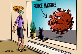 Force majeure and cas fortuit are distinct notions in french law. Corona Crisis And Force Majeure Seeds Of Law