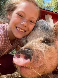 Can anyone please help me to find this guy? Most likely he has got our  Piggy Junior when we lost him