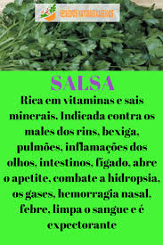 Cha De Canela De Velho Beneficios E Maleficios Veja Os Principais Beneficios Da Salsa Para A Nossa Saude Salsa Ajuda A Emagrecer Salsa Salsabeneficios Dicas De Saude Beneficios Da Salsa Saude E Nutricao