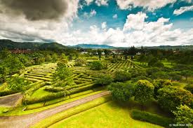 maze by eyesweb1 on deviantart maze labyrinth maze night garden