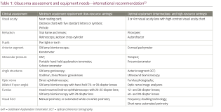 allocating resources for glaucoma care a review