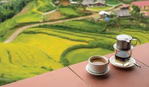 Coffee production in vietnam is concentrated in the central highlands (80%), and the small portion of arabica grown in the country hails almost entirely from the lam dong province, located in the north of the province. Quantity Has A Quality All Its Own Stir Coffee And Tea Industry International Stir Is The International Coffee And Tea Industry Bi Monthly Magazine Website Local Global Equipment Machinery Supplies Services