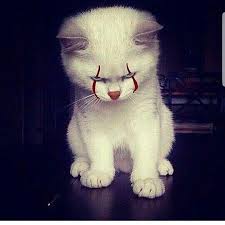 Miawww Pennywise Halloween Kitty Style Cats Cute Cat Gif Cute Animals