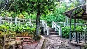 The Historic Castleton Botanical Garden — Nature's Sweet Escapes