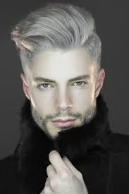 Whatisajanis Grey Hair Men Mens Hair Colour Mens Hairstyles