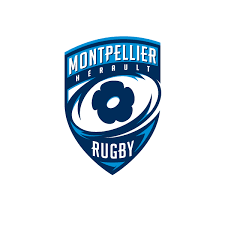 Organization logo is a critical piece of any business. Montpellier Herault Rugby