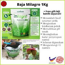 Check spelling or type a new query. Baja Milagro 100 Organik Membantu Melebatkan Hasil Tanaman 1 Kg Free Biji Benih Ready Stock